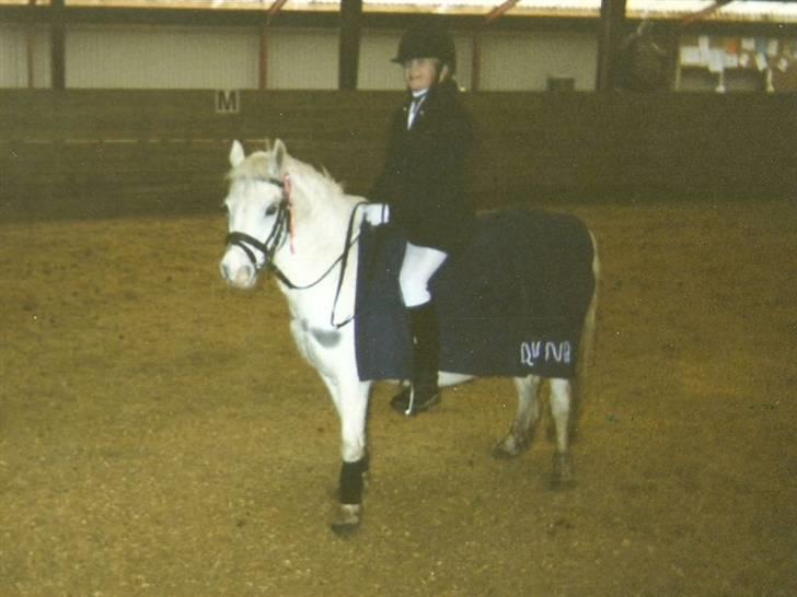 Dartmoor † Donna af stegstedgård † - Til stævne, klubmesterskab for spring, som vi vandt i 2004 billede 11