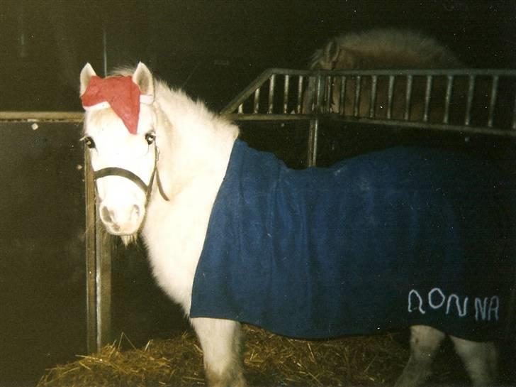 Dartmoor † Donna af stegstedgård † - Donna og jeg fejre jul :P billede 14