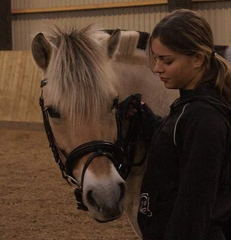 Fjordhest Tonni *Solgt* - Mig og min super dejlige pony efter lidt træning. billede 1