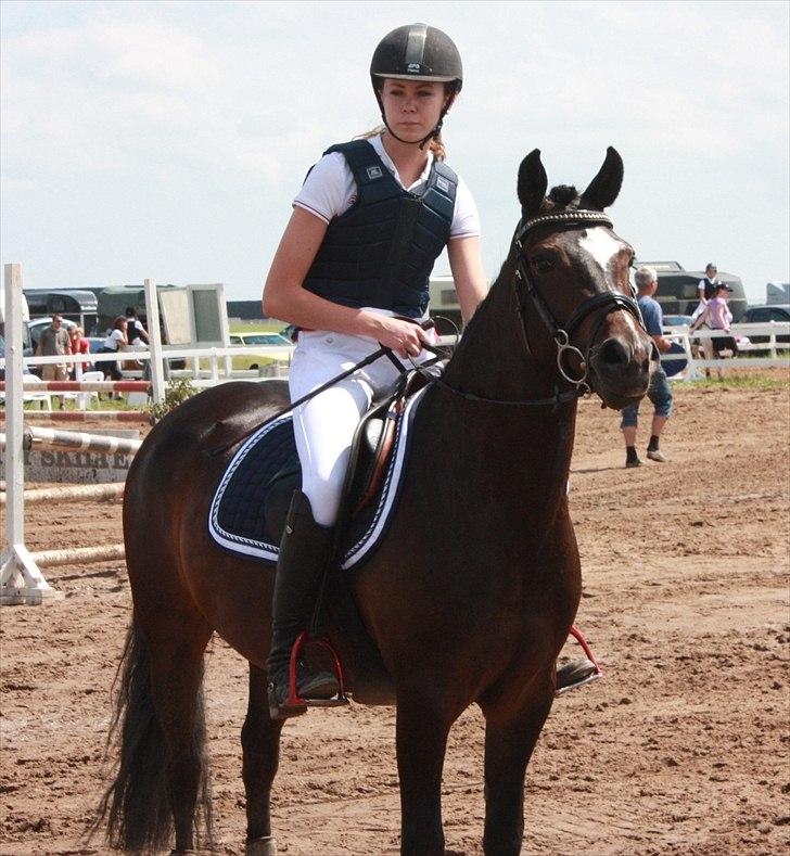 New Forest Troldmosens Bijou, B-PONY - Smukke :-* Til præmieoverækkelse, vinder af MB. billede 3