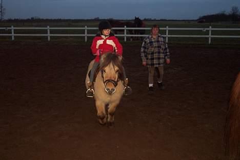 Anden særlig race filex   solgt -   fleix og Mia den 13 jan 07 billede 6