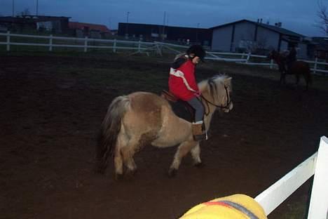 Anden særlig race filex   solgt -  felix og mia den 13 jan 07 billede 7