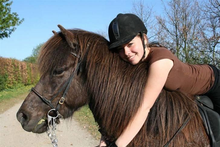 Islænder Háleggur fra S. Sognstrup - Pyttur´s 1. Maj stævne <3 [Taget af Maya Westander <3] billede 16