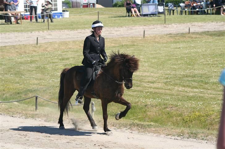 Islænder Háleggur fra S. Sognstrup - Arbejdstölt i b-finalen T.1 til sjællandsmesterskaberne 09 [Taget af min mor] billede 14