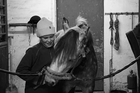 Connemara Teglstrups King Lucas - Emma & King Lucas billede 7