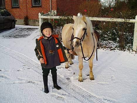 Anden særlig race Flovmand.(solgt) - lasse og mono. billede 3