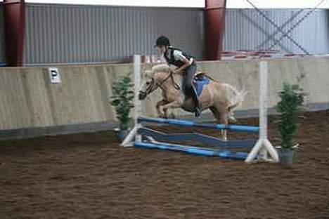 Anden særlig race Flovmand.(solgt) - spring med rie (rie&RAmses) billede 4