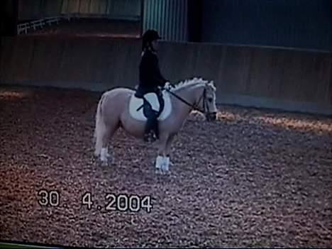 Anden særlig race Flovmand.(solgt) - sikke en fin en :) billede 11