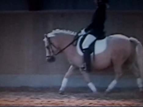 Anden særlig race Flovmand.(solgt) - jeg kan jo godt :) billede 12