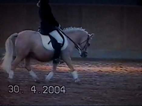 Anden særlig race Flovmand.(solgt) billede 13