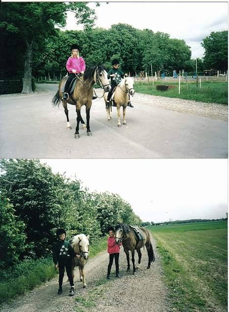 Anden særlig race Flovmand.(solgt) - Rie og KOGle billede 15