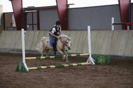 Anden særlig race Flovmand.(solgt) - spring med Rie . billede 18