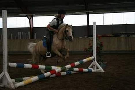 Anden særlig race Flovmand.(solgt) - igen.spring med Rie . billede 19