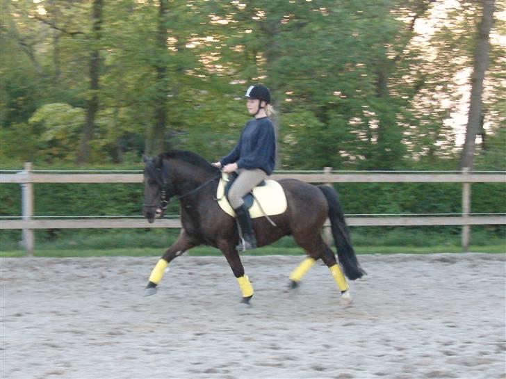 Anden særlig race Lego. - Lego billede 1