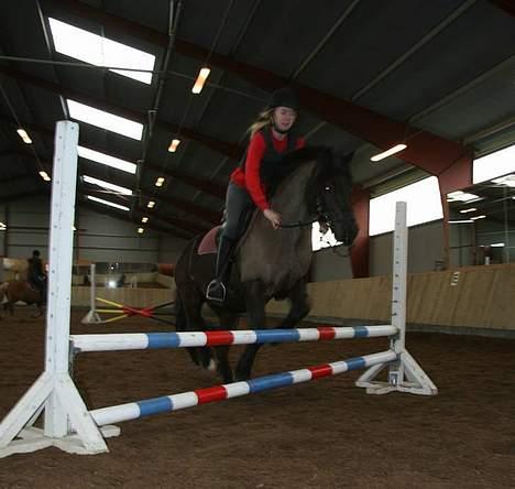 Anden særlig race Lego. - Rie Og Lego billede 2