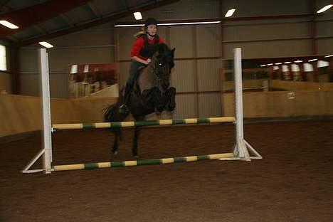 Anden særlig race Lego. - Rie Og Lego billede 3