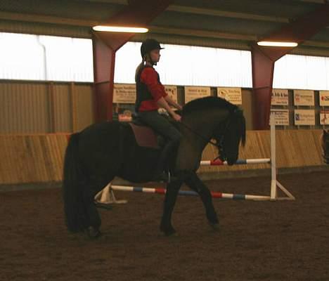 Anden særlig race Lego. - Rie Og Lego billede 4