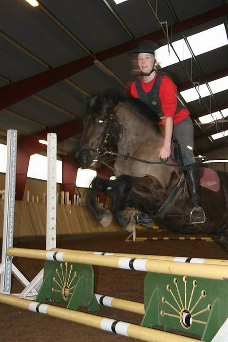 Anden særlig race Lego. - Rie Og Lego billede 5