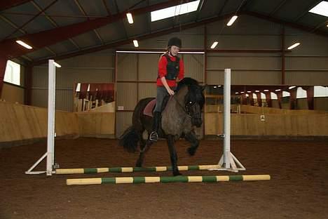 Anden særlig race Lego. - Rie Og Lego billede 7