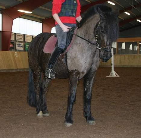 Anden særlig race Lego. - Rie Og Lego billede 8