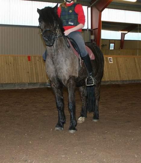 Anden særlig race Lego. - du er en lille frækkert.Rie Og Lego billede 9