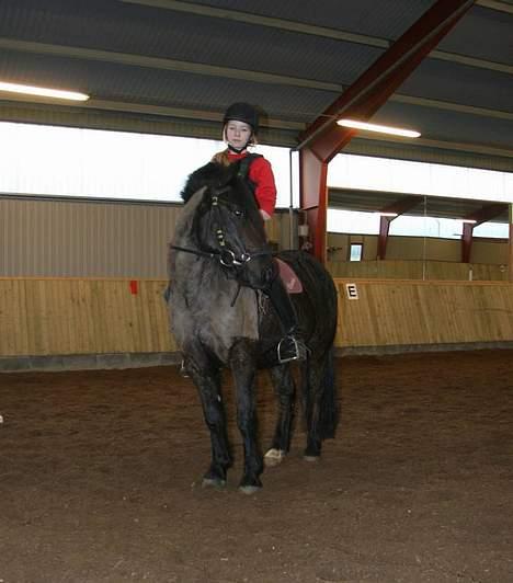 Anden særlig race Lego. - Rie Og Lego billede 10