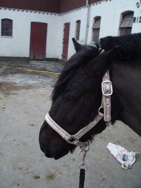 Anden særlig race Lego. - Lego billede 11