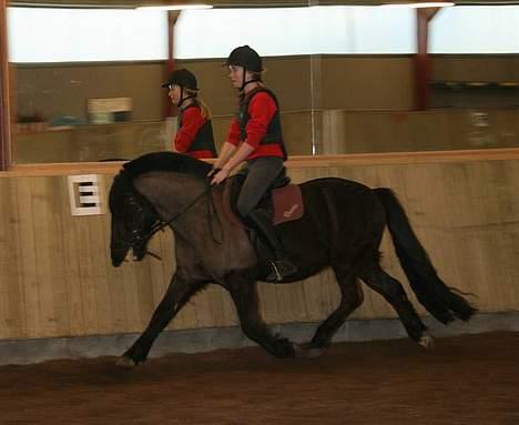 Anden særlig race Lego. - ud af byen :)Rie Og Lego billede 12