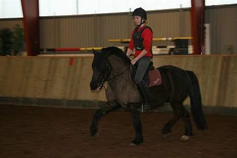 Anden særlig race Lego. - Rie Og Lego billede 13