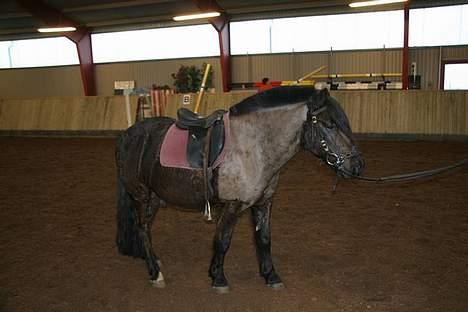 Anden særlig race Lego. - lego billede 14