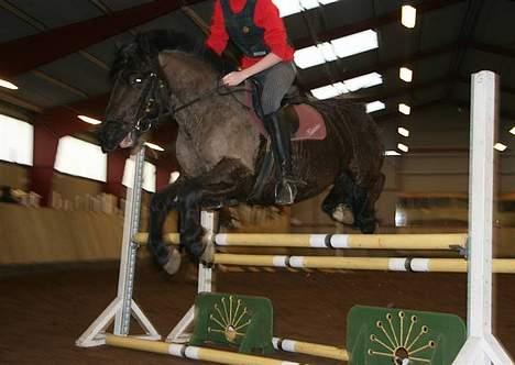 Anden særlig race Lego. - os 80 cm.Rie Og Lego billede 15