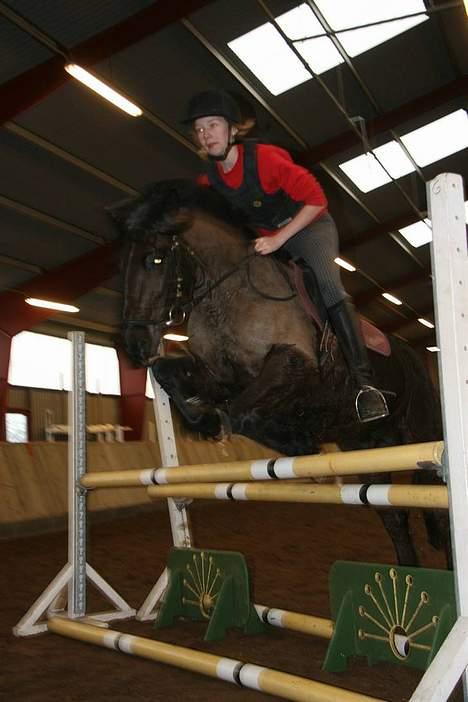 Anden særlig race Lego. - 80 cm..Rie Og Lego billede 16