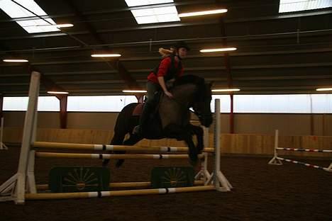 Anden særlig race Lego. - Rie Og Lego billede 17