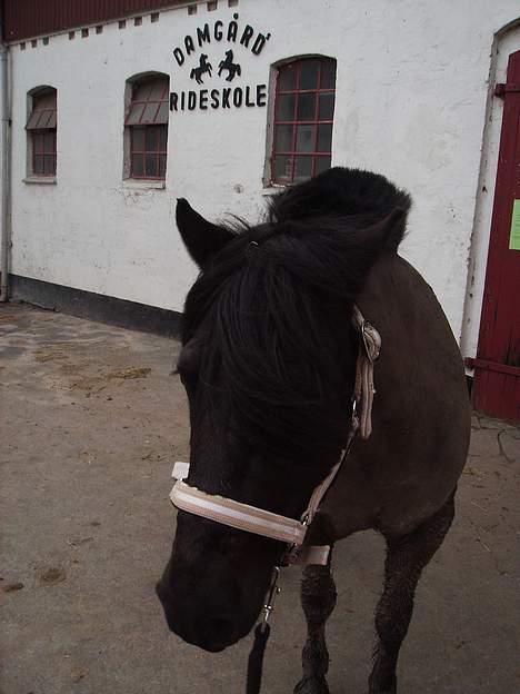 Anden særlig race Lego. - lego billede 18