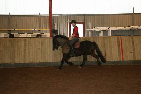 Anden særlig race Lego. - Rie Og Lego billede 19