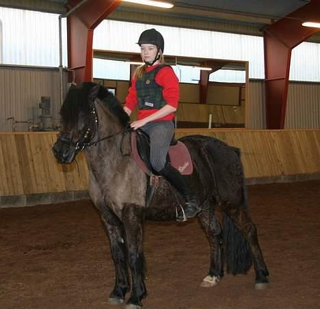 Anden særlig race Lego. - Rie Og Lego billede 20