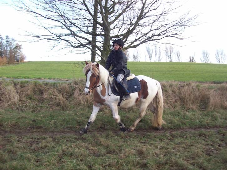 DSP Pedersmindes Ofelia<3 - Simone rider Ofelia for anden gang.. :) Foto: JGM. (mig) 2009 billede 10