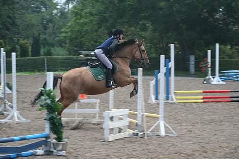 Anden særlig race Flicka - flicka og line billede 1