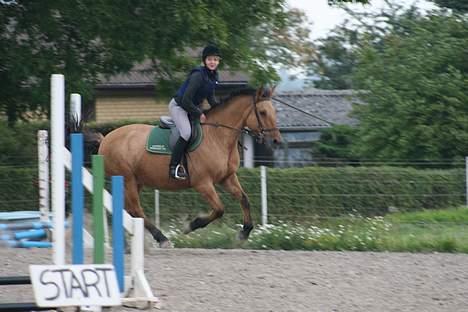 Anden særlig race Flicka - flicka og line billede 3