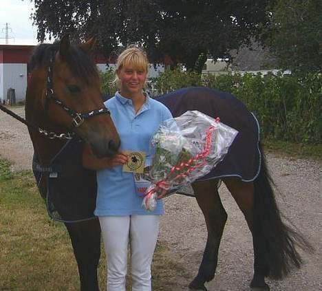 New Forest Kattingegårds My Boy - Her med præmierne billede 15
