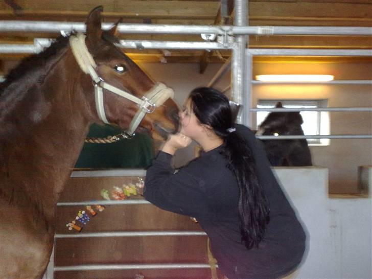 Connemara Søstholm Rapsody - A Pony - Mor får Mys af Prinsessen :) Taget af Lykke <3 billede 12