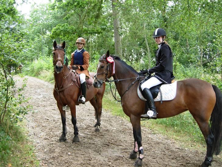 Hollandsk Sportspony Junior v. w.    SOLGT :'( - <-3-> det er så mig og Junior <3<3da vi vandt en 3. plads på distriktsplan :D var 2 sekunder fra maria´s 1. plads og 3 mini sekunder fra 2. pladsen ö billede 3