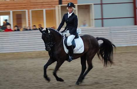 New Forest de wolferhoeves Ceriena billede 8