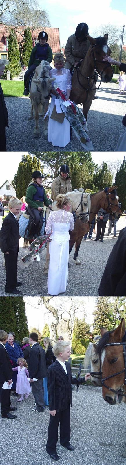 Welsh Cob (sec D) Ræveskiftets Nardi - 3) Nardi og Luna kom og besøgte mig til min konfirmation d.24 April 2005.. Jeg blev så glad:) billede 3