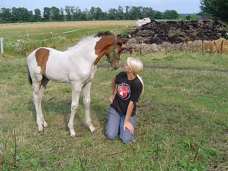Pinto Xzibit billede 8