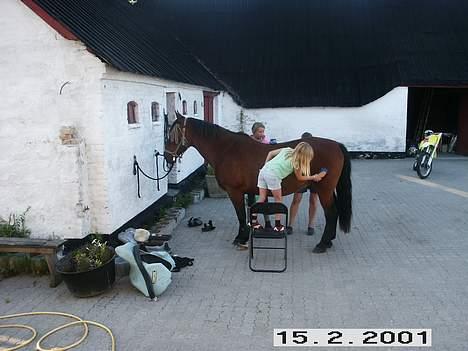 Anden særlig race Sonny - Ja så r vi igang igen? Os taget i august-06(:. billede 6