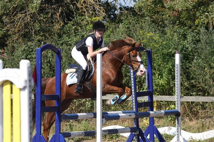 Anden særlig race Andro. - Du gør dit bedste - virkelig godt Mille! Lb/La i Horsens. Foto; Mig. billede 13