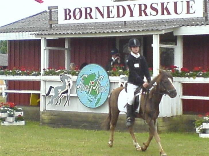 Anden særlig race Victor - Her rider Line og Victor dressur på børnedyreskuet 2007 billede 2