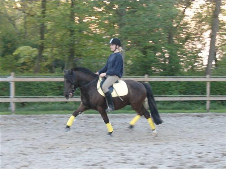 {{currentPhoto.altText}} billede {{currentPhoto.number}}