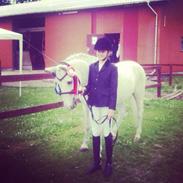 Anden særlig race **Julius**